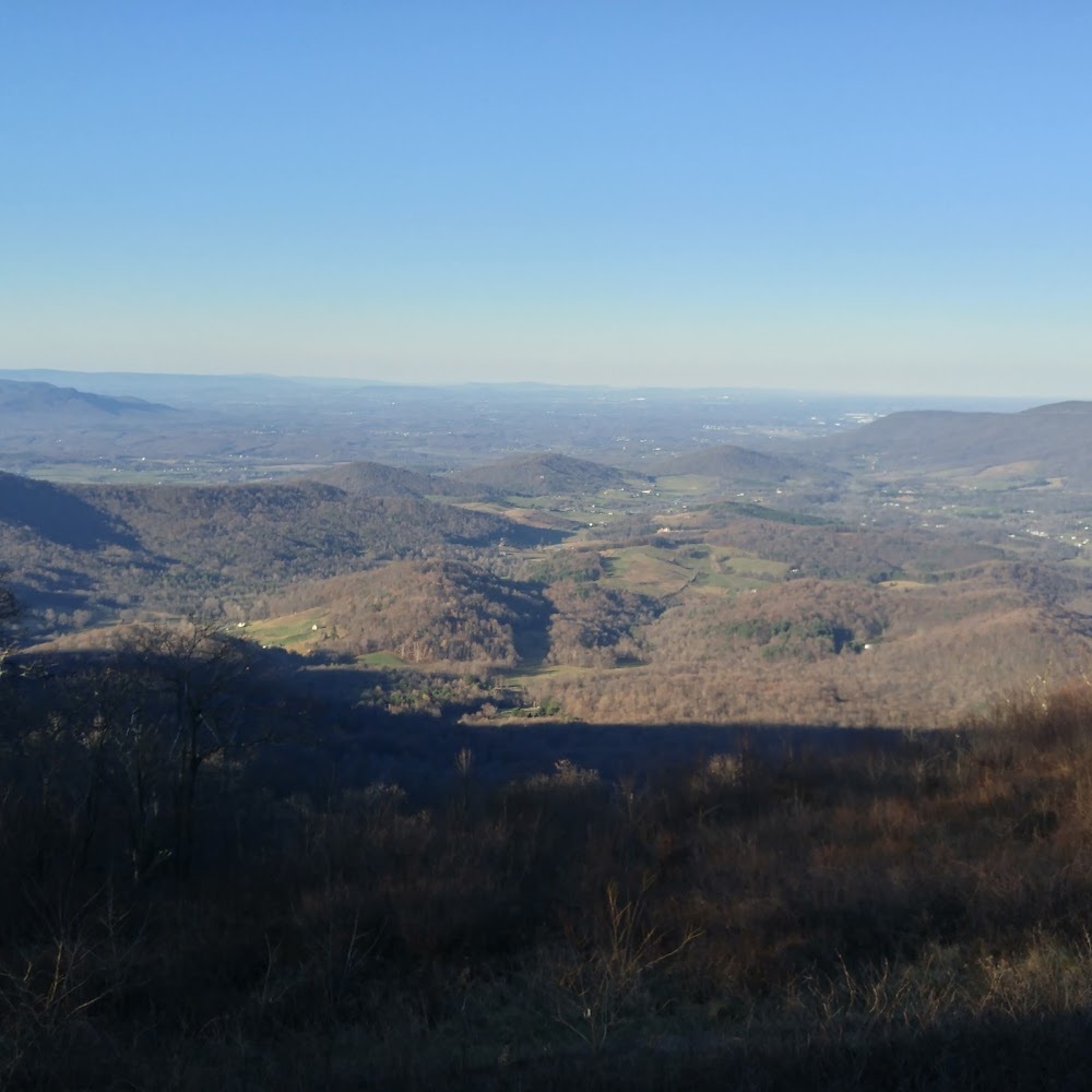 Meet your Posher, Dwayne